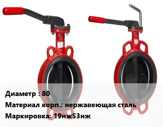 Затвор 80 19нж53нж Ру40
